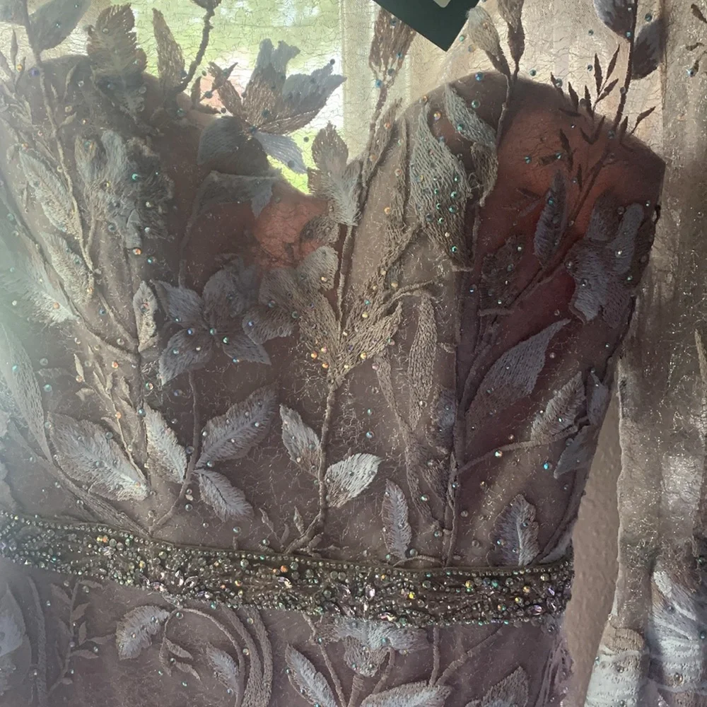 Special occasion Terani couture dress - Picture 4 of 5
